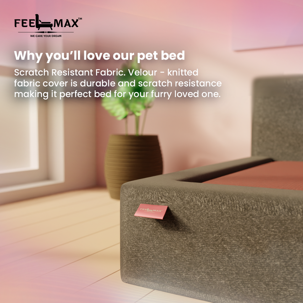 Pet Mattress
