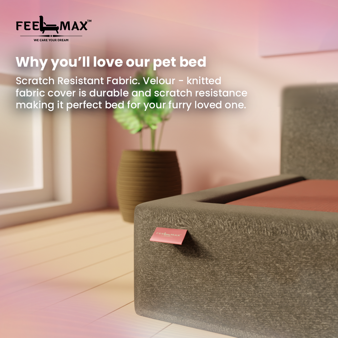Pet Mattress
